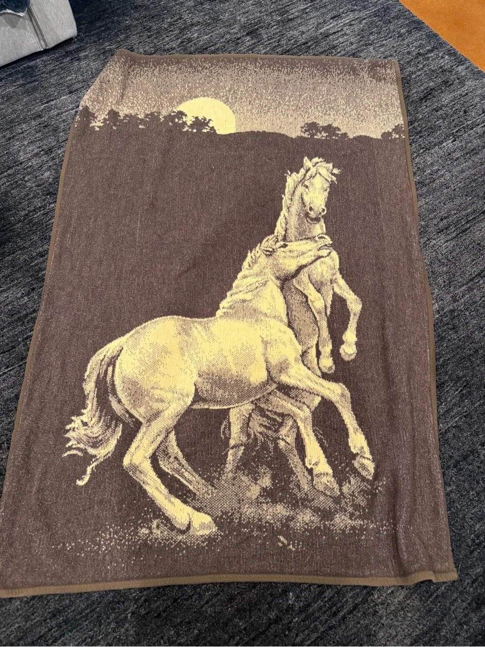 Vintage Reversible Horse Throw Blanket